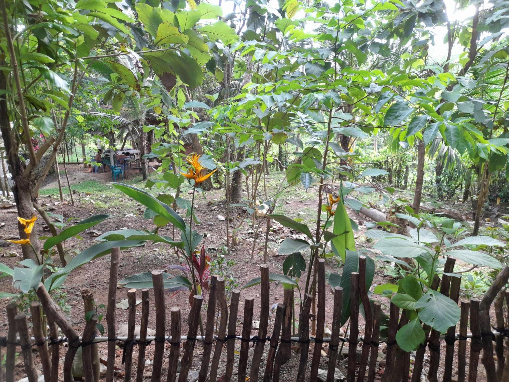 Linu Homestay Dikwella Sur Exterior foto