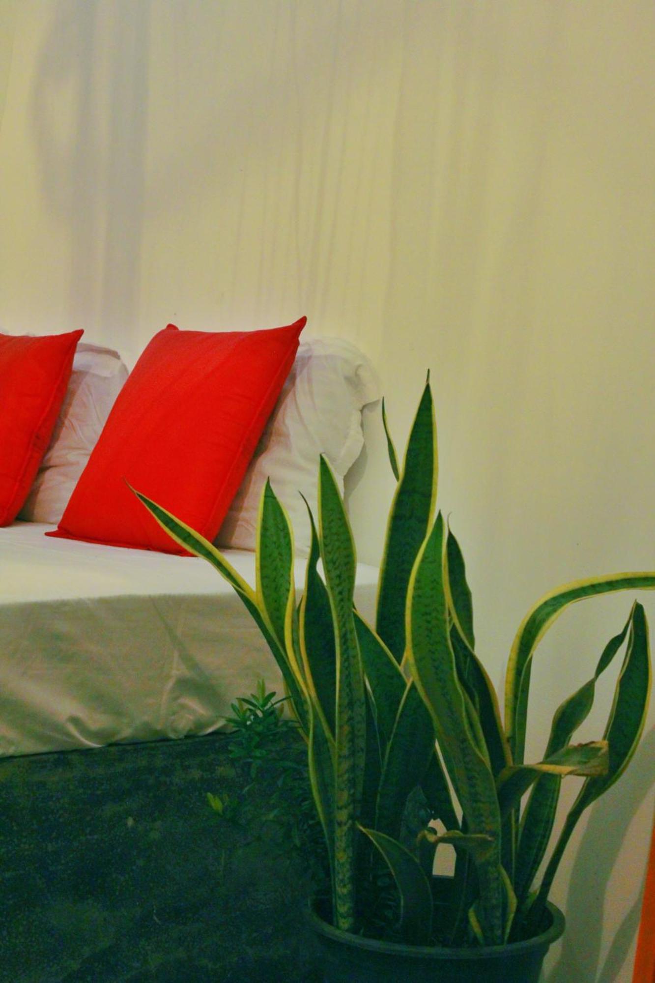 Linu Homestay Dikwella Sur Exterior foto