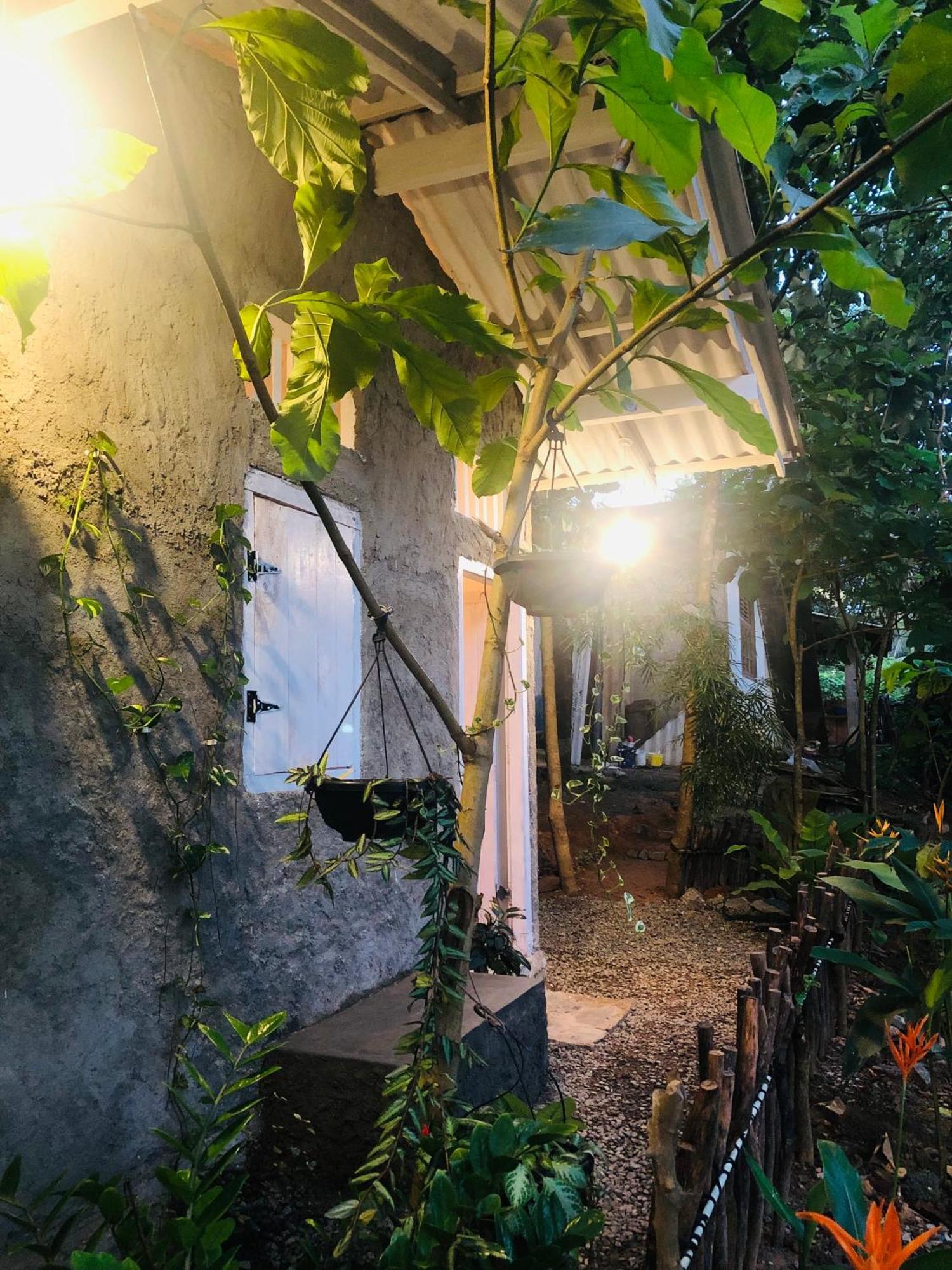 Linu Homestay Dikwella Sur Exterior foto